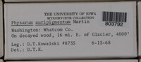 Image Associated With the Occurence